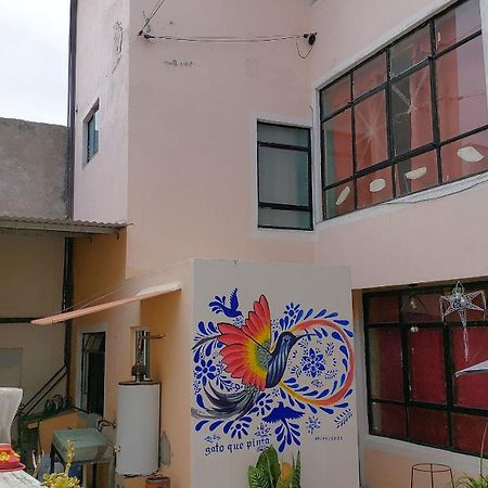 Casa El Colibri Cec Villa Tehuacán Eksteriør billede